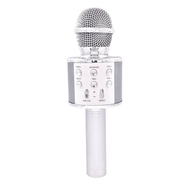 Canta Tu Karaoke Con Cassa Audio e Video Portatile Microfono Wireless –  Giocheria Scandiano - Casabella Un Mondo di Giocattoli